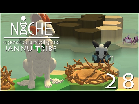 Temptations of an Empty Nest!! • Niche: Jannu Tribe - Episode #28
