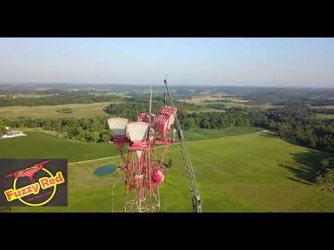 Horn Removal from a 290' Tower with a Crane Done