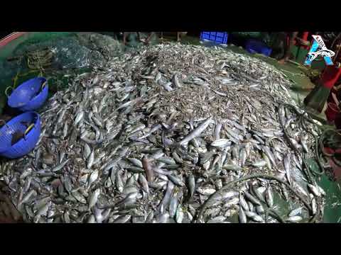 Amazing Automatic Longline Fishing Net Catch Giant Fish - Awesome big catching on the sea @FISH_TV