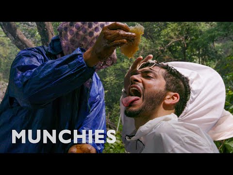 Honey That Makes You Hallucinate