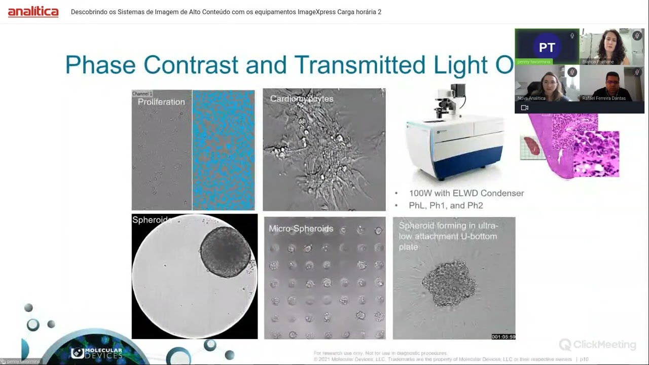 Descobrindo os Sistemas de Imagem de Alto Conteúdo com os equipamentos ImageXpress