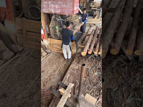 Working hard to get married - sawing timber