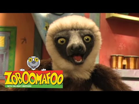 Zoboomafoo 125 - Great Singers (Full Episode)