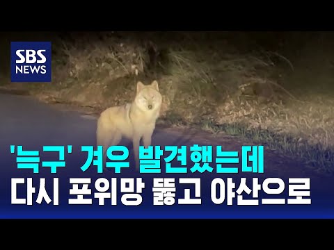 SBS 포위망 뚫고 야산으로 도주 보도