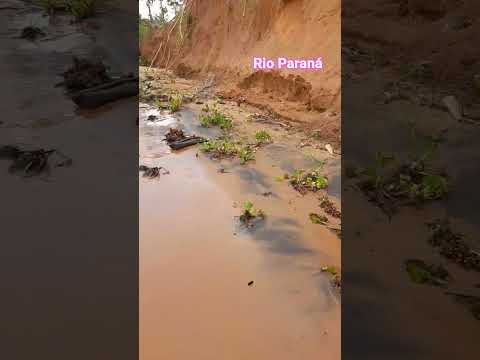 Presidente Epitácio -SP