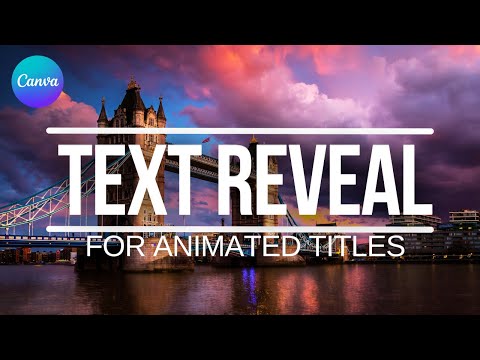 How to Create a Product Animation Video Ad in Canva Step by Step Guide
