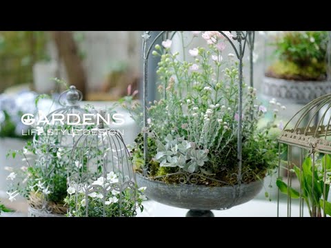 あなたの庭に鳥を引き寄せる方法 ガーデンデザイン