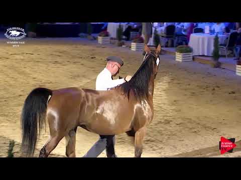 Pride of Poland - Summer Sale 2019