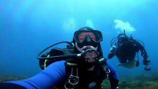 Scuba diving Portland, Victoria