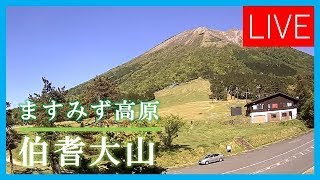 【LIVE】大山 ますみず高原 live webcam