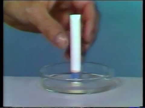 Das Grundprinzip der Chromatographie