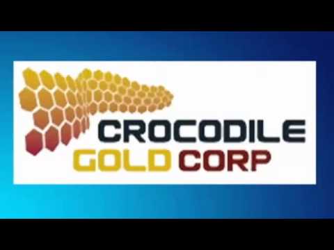 Mar 8th Power Trading Hour with host David White - 2013