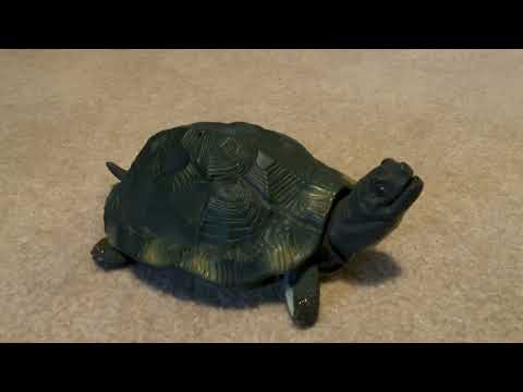 singing turtle (Slogo the talking tortoise by HPI/Can You Imagine)