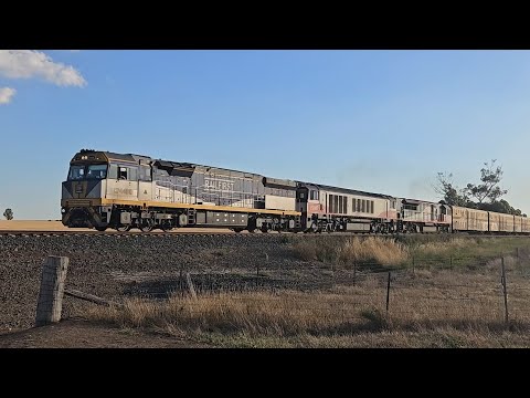 1MP9 SCT down "Dark Ghost" (CF, CSR, SCT), Laverton to Forrestfield, 1935, 12/1/25, Maroona VIC