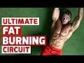 Burn Fat Now with this Ultimate Full Body Circuit