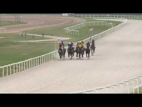 2020.07.19. 01. futam - RASCAL HENDIKEP (V.o.) (szintetikus pálya)