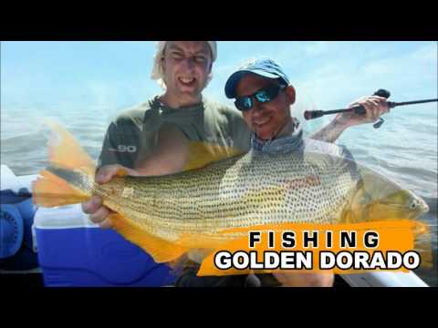 Fishing Golden Dorado - Argentina Trip to Famous Parana River