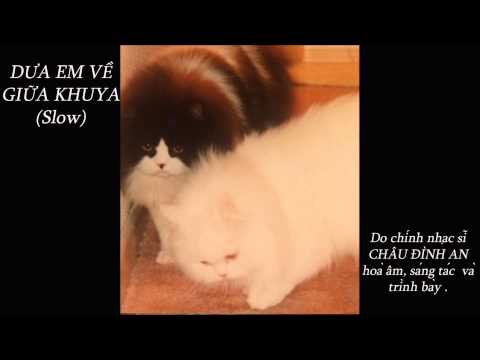 Đưa em về giữa khuya - Châu Đình An