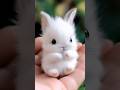 Lovely Mini Baby Rabbit Rabbit Lovely Cute Aiart Ai Aianimals
