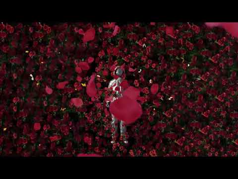 Deeperise - Fi Alfarah (feat.Turkish Coffee) (Visualizer)