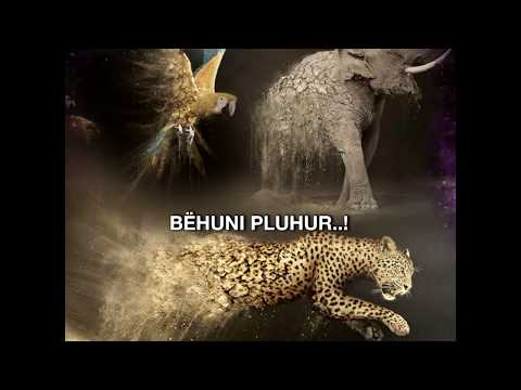 Dita e Llogarisë - "Çdo kujt do ti mjaftojë vetëm vetja e tij atë Ditë..!" - Hoxhë Abdurrahim Balla