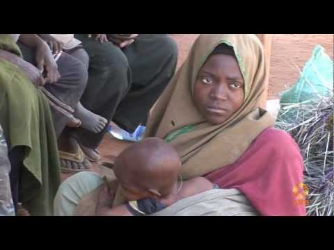 Kenia - Dadaab: Gesichter der Flucht