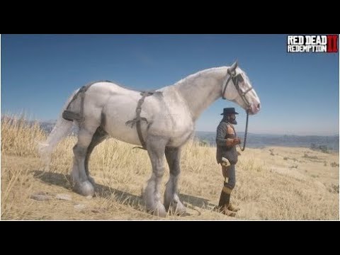 Red Dead Redemption online #6 Compramos um lindo cavalo todo branco (MUITO GRANDE)