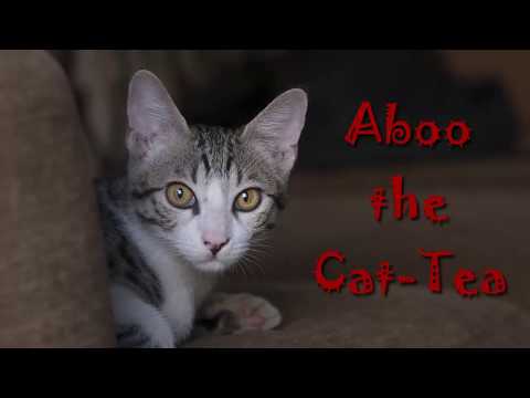 Cat-tea