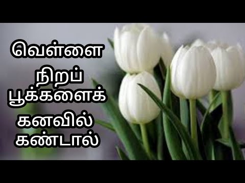 வெள்ளை நிற பூக்களைக் கனவில் கண்டால் | vellai nira pookalai kanavil kandal|white flowers-wealth dream