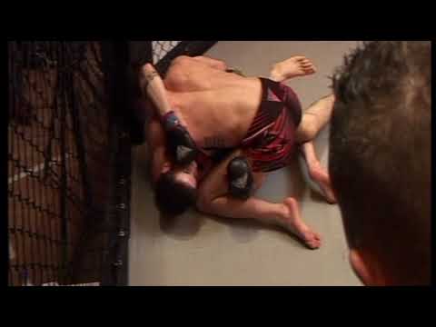 Quigley V Ivanovic 2018