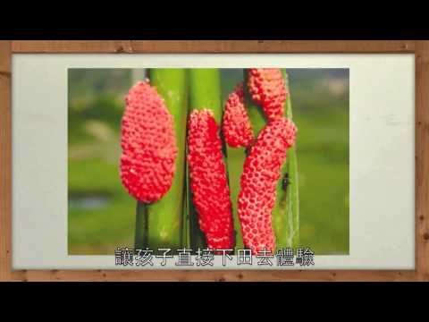 優質概念零售商 推動環境教育