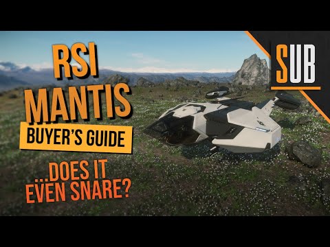RSI Mantis Review | A Star Citizen's Buyer's Guide | Alpha 3.9