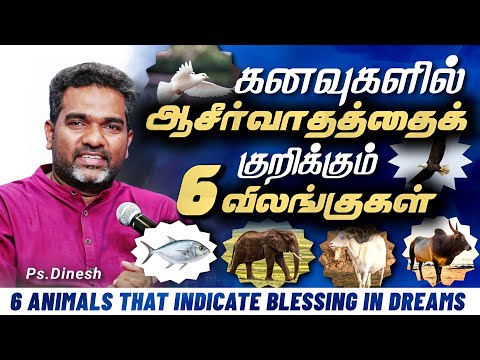 6 ANIMALS THAT INDICATE BLESSING IN DREAMS || PASTOR.DINESH || DREAMS AND INTERPRETATION SERIES
