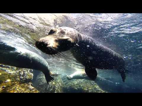 Around the world 2016 - Backpacking South America