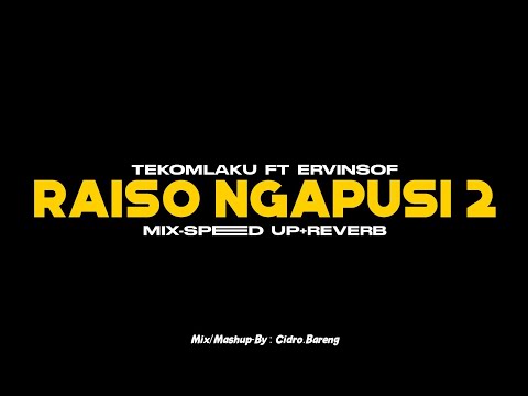 Raiso Ngapusi 2 - Tekomlaku Ft Ervinsof - (Mix x Speed Up x Reverb) - Mashup CIDROBARENG🎧