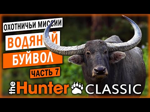 ОХОТА НА ВОДЯНОГО БУЙВОЛА! | Охотничьи Миссии | theHunter Classic 🐻 | (часть 7)