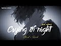 CRYING IN NIGHT FEEL ALONE SAD LOFI MASHUP SLOW REVERB LOFI MIX Sad Trending Song