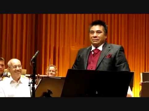 NESSUN DORMA // GRANADA - FREDDY AMIGO