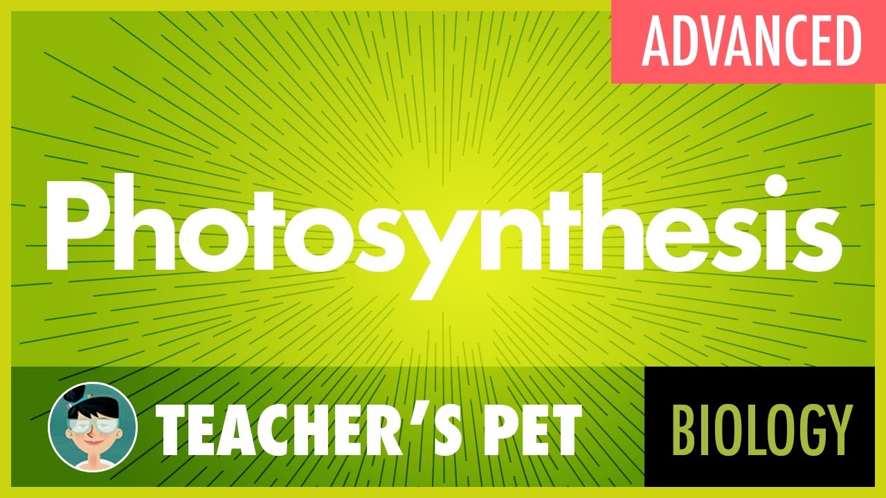 Photosynthesis (advanced)