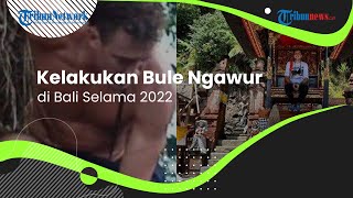 Kaleidoskop 2022: 5 Aksi Ngawur Bule saat Liburan di Indonesia: Telanjang di Pohon hingga Ngamuk