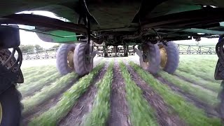 Our Last Day of Spraying