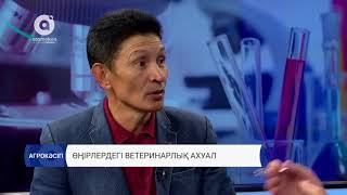 Өңірлердегі ветеринарлық ахуал