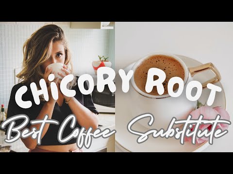 How to Make Chicory Coffee - Best Coffee Alternative