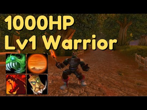 1000 HP Lv1 Warrior - WoW Classic