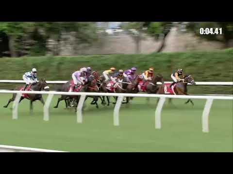 神龍駒    21/10/31……(135)第五塲三班2200米