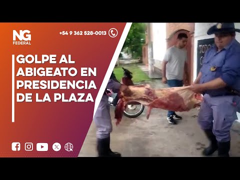 NGFEDERAL - GOLPE AL ABIGEATO EN PRESIDENCIA DE LA PLAZA