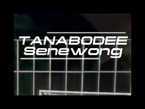 Rise to glory ep.3Tanabodee senewong ⛰️ #coachpun#RiseToGlory