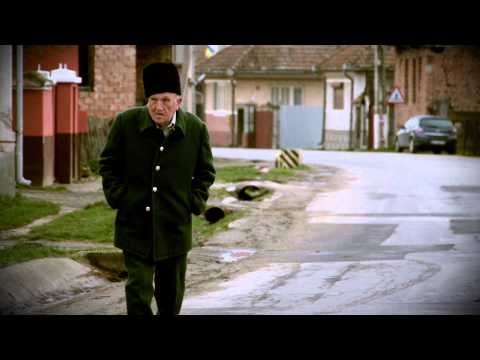 Village Life in Sinca Noua