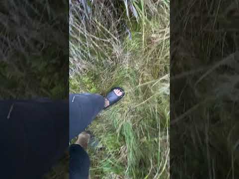 Valle de los frailejones cerca a Inza cauca