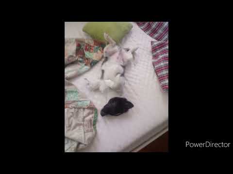 Słownik 2022 - Mea Culpa prod. TheSkyBeats